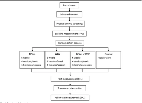 Fig. 2 Flowchart of the study processes