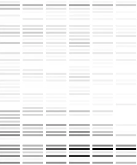 Figure 2.6: Coefficient magnitudes for the optimal models (chosen by cross-validated MSE) for different values of τ 