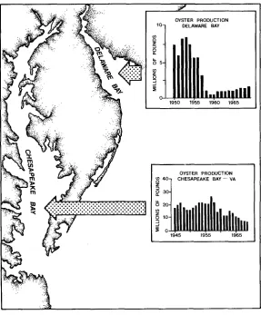 Fig. 5. Decline in oyster production in Delaware and Chesapeake Bays (USA) following a disease outbreak which began in the late 1950's 