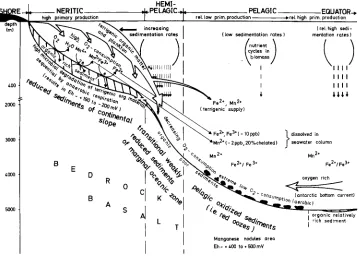 Fig. 1. Fate of the Mn and Fe compounds in the neritic zone compared with the pelagic sediments