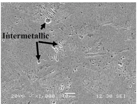 FIGURE 9: SEM IMAGE OF 17-4PH (MAG.1000X) 