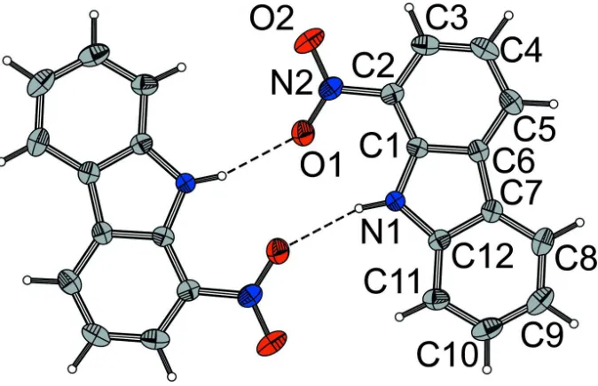 Figure 1Dimer of (I) molecules related by inversion and connected via N—O···H hydrogen bonds