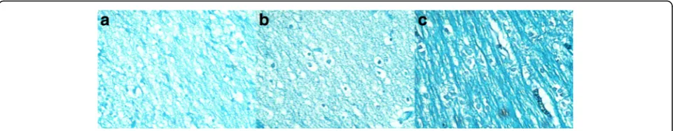 Fig. 6 FLB staining 200 times light microscope (internal cerebral white matter: a: E69 group, b: E85 group, c: E114 group)