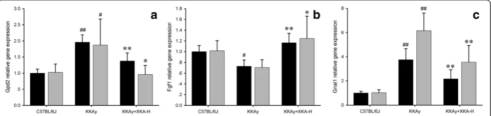 Table 3 The regulation of the T2D network by XKA