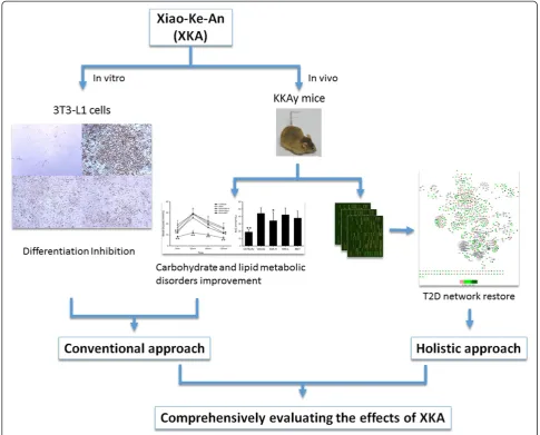 Fig. 1 Framework of evaluating the antidiabetic effects of XKA with both conventional and holistic omics approaches