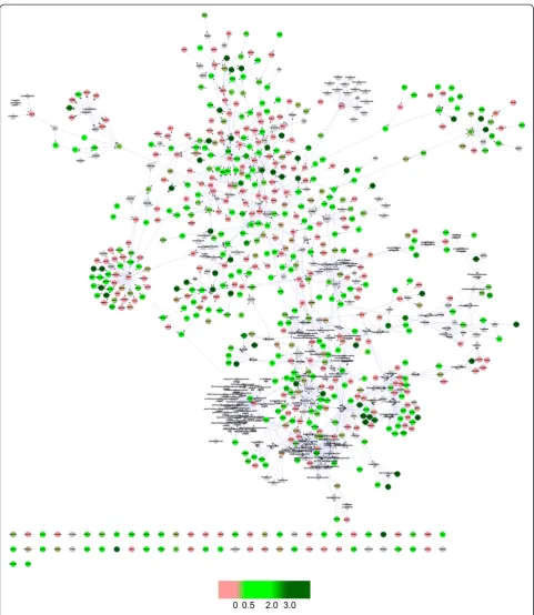 Fig. 8 T2D network with reverse rate of XKA. This figure illustrates the reverse rate values of the nodes in the network, and the holistic reversaleffect of XKA could be seen intuitively in the T2D network