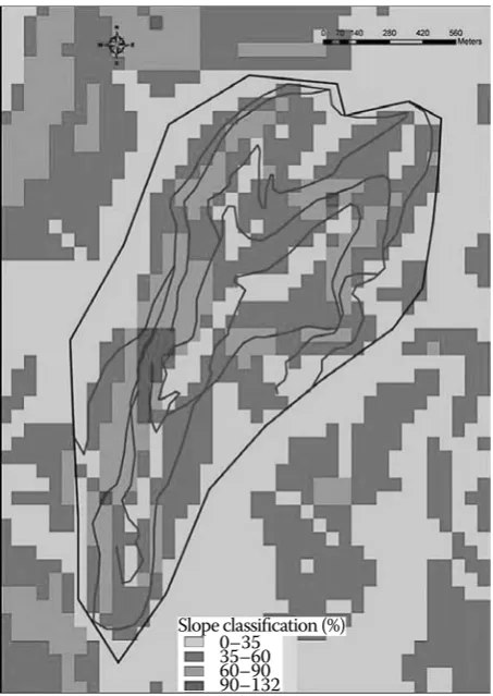 Fig. 2. Grouped corridors (segments) in the sample area