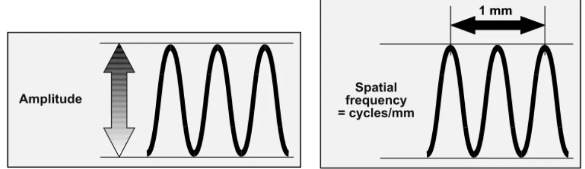 Fig. 15  A wave is characterized by its amplitude and its spatial frequency.