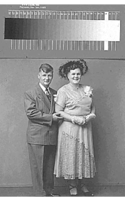 Fig. 1  Calibrated gray-scale test targets serve as a link back to the reality of the original document or photograph.