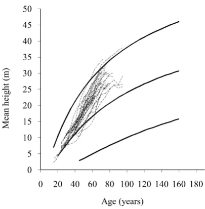Fig. 2. Development of mean heights according to repeated measurements of thinning research plots and yield tables for site indexes 10, 24 and 38