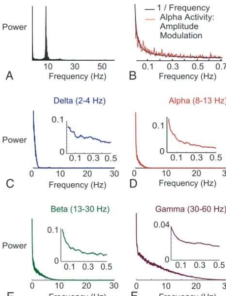 Fig 7. The 1/frequency distribution of amplitude modulation of MEG signal intensity.zoomed-in region of the curve up through 0.5 Hz