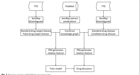 Fig. 1 The basic process of PACNN for drug discovery