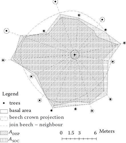 Fig. 5. Competition situation of central beech