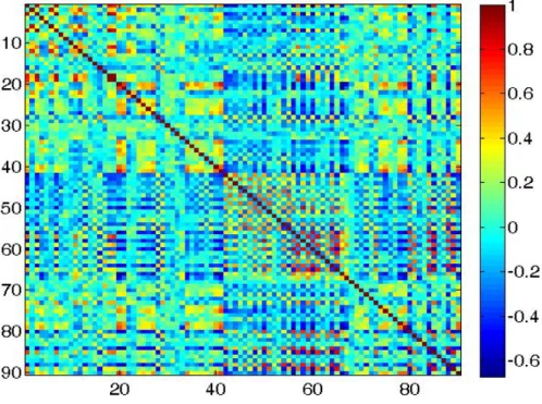 Figure 2.6: Simulated functional connectivity matrix