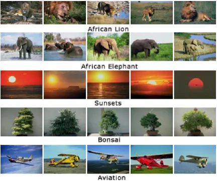 Figure 4.1: Image samples selected random from each image category