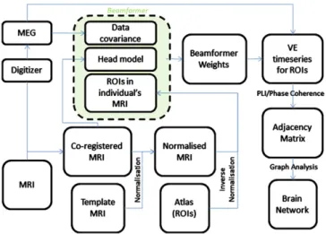 Fig. 1 provides an overview of the analysis framework. The initial step is to project the MEG sensor signals in a meaningful way to a set of time-series of neuronal activation in the brain