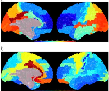 Fig. 2 displays the mean functional connectivity for each ROI with all other ROIs. Note the differences between the maps for PLI and Phase Coherence, where Phase Coherence shows strongest functional connectivity for deeper structures, whereas the  stron-ge