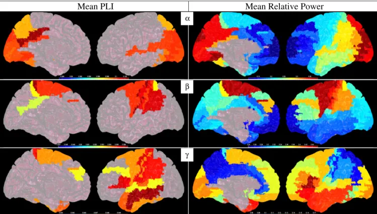 Fig. 4. Mean PLI (left column, thresholded at p = 0.05) and mean relative power (right column) for alpha, beta and gamma bands (top to bottom), displayed as a colour-coded map on a schematic of the parcellated template brain (see Supplementary Fig