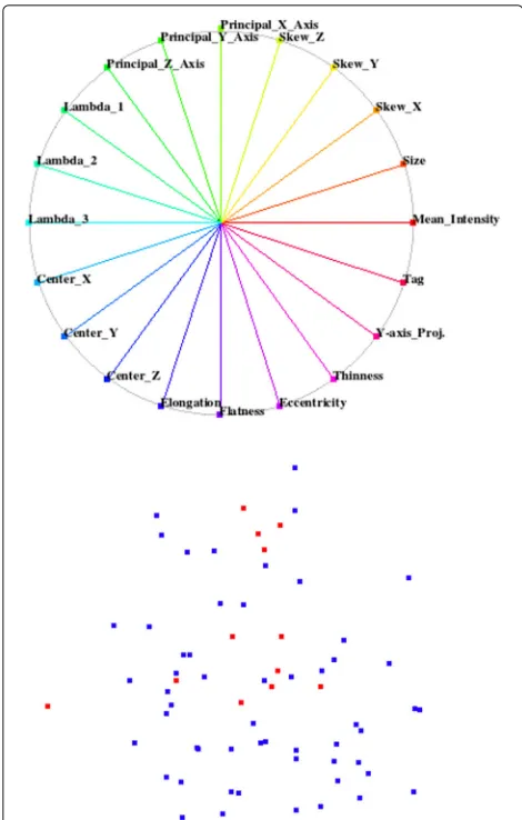 Fig. 6 Top: Default configuration of star-coordinate widget. Bottom:Projected space of default star-coordinates widget