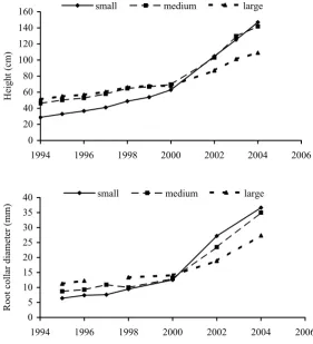 Fig. 2. Diameter growth of the sorted planting material of Norway spruce 