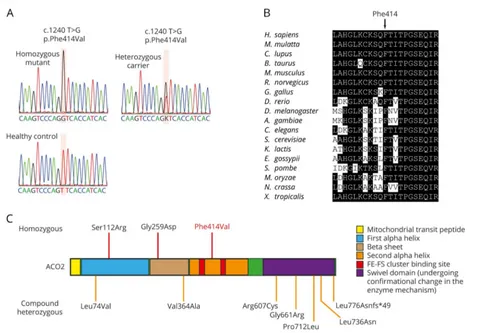 Figure 2 Sanger sequencing, conservation, and summary of known ACO2 mutations