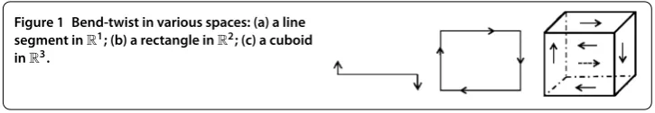Figure 1 Bend-twist in various spaces: (a) a line12