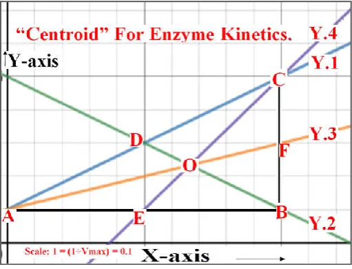 Fig. 5. Centroid (The point “O”) of Right angled triangle (∆ ABC) with (Real Form of Lineweaver-Burk Plot); line Y.2 (First Median); Y.3 (Second Median) and Y.4 (Third Median) 