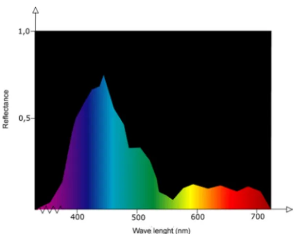 Figure 1: The spectral distribution of a bluish colour. 