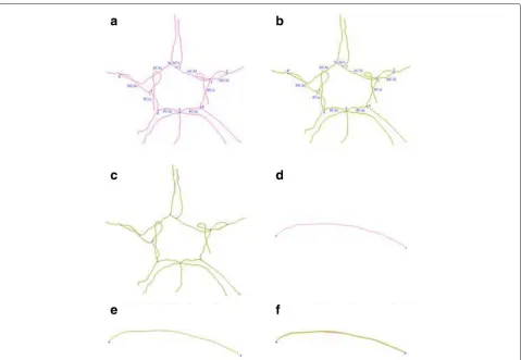 Fig. 6 Consistency between the initial skeleton data and the B-spline skeleton data. a Initial skeletal topology