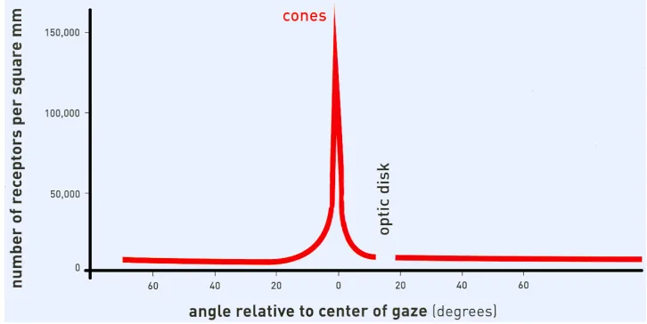 Figure 2.2: Visual angle describes the size of objects in the viewing region [5].