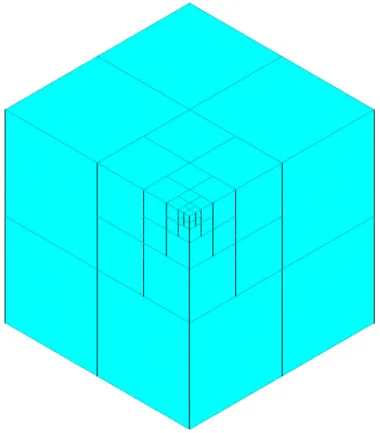 Figure 2: The three dimensional mesh with point singularity