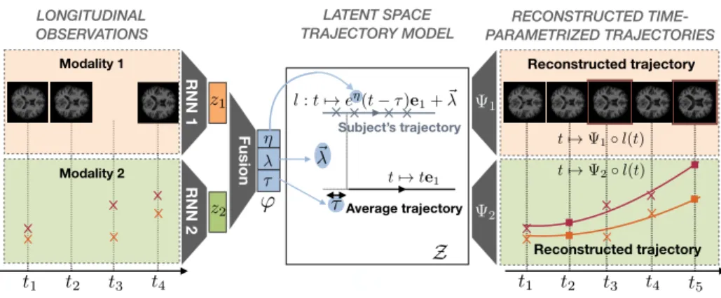 Fig. 1: Description of the proposed longitudinal autoencoder.