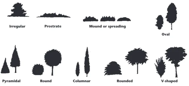 Figure 13. Plant forms.