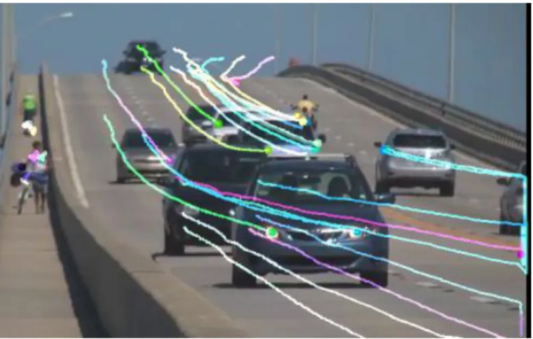 Figure 11: Optical flow, tracked through multiple frames and visualized on the last frame.