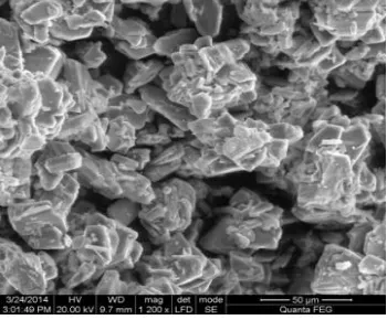 Fig. 4. SEM picture of stabilizers 