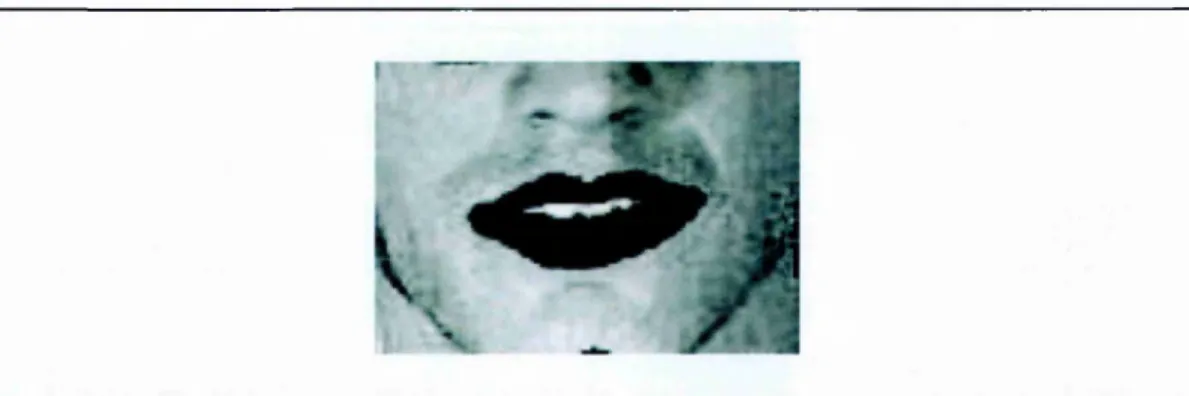 Figure  2.5:  Illustration  of one  frame  from  the  recorded  V1-C-V2  database,  where  the  speaker  wears  blue  make-up  for lip-tracking.