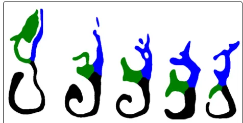 Fig. 12 RDP Algorithm. The reference skeleton and example control points produced by the RDP algorithm with ϵ = 1 mm (left) and ϵ = 2 mm (right)