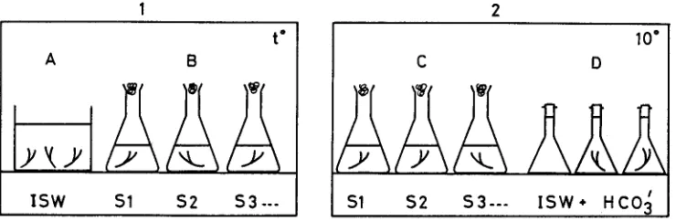 Fig. 1. Diagram showing experimental procedure for measuring temperature-sahnity damage to incubation for 48 h (B) in the experimental salinities (St, $2, $3