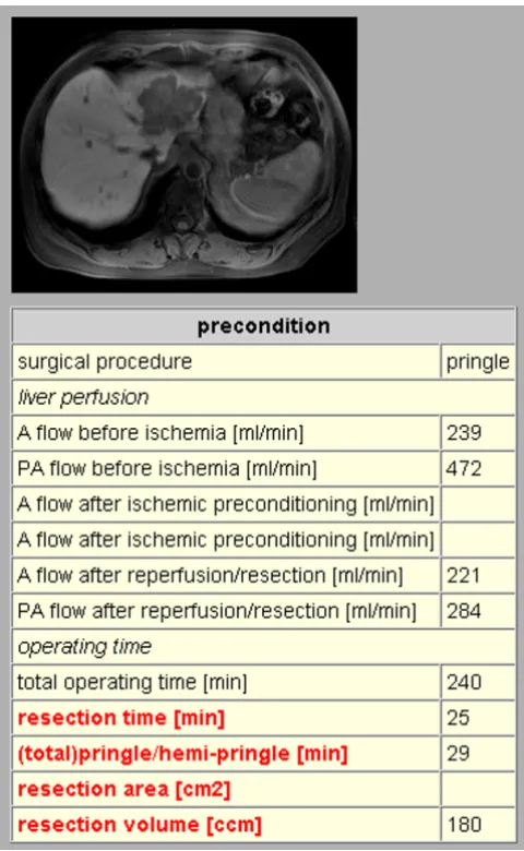 Figure 1Small section from the documentation of the surgical proce-dure. In addition to numerical and categorical items multime-dia items (e.g