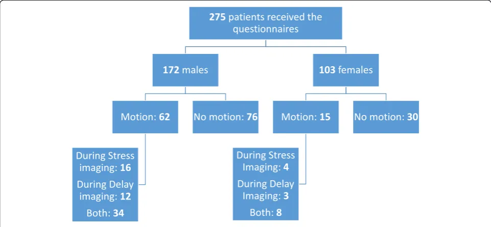 Fig. 1 Patients’ flow chart