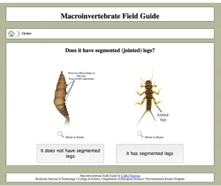 Figure 9. Version 2 of the E-vertebrate Field Guide (photographs with the graphics describing the attributes, clickable buttons to continue on, and a clarified question posed to the user