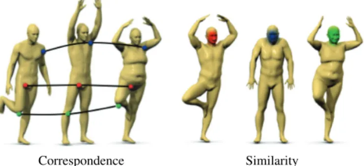 Fig. 4. Left: features used for shape correspondence should ideally manifest invariance across the shape class (e.g., the “knee feature”