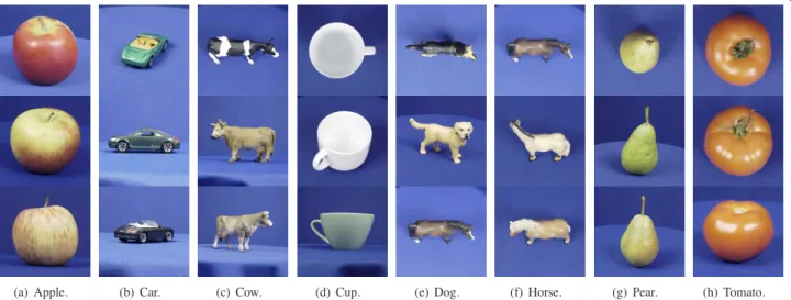 Fig. 5. Example images from the ETH-80 dataset. Each column represent a set of examples from one class.