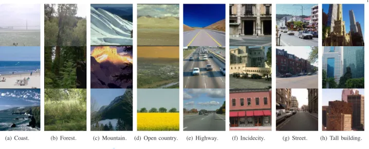 Fig. 6. Example images from MIT Scene dataset [76].