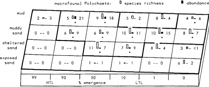 Table 1. Diversity H' and species richness (S) of total macrofauna, Polychaeta, and O]igochaeta