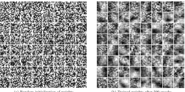 Figure 5. Feature maps of the first convolutional layer of four model architectures.