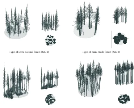Fig. 7. Examples of some types of forest stand structure in the svz