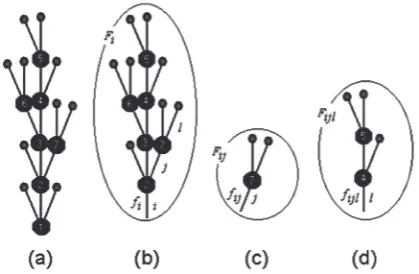 Fig. 1. (a) Scheme of a tree with 7 nodes and 16 segments. Nodes 1 to 5 form the stem