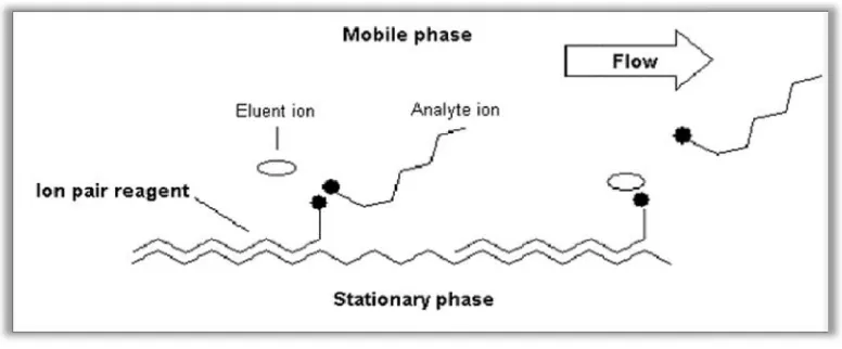Fig No.1: Ion Pairing