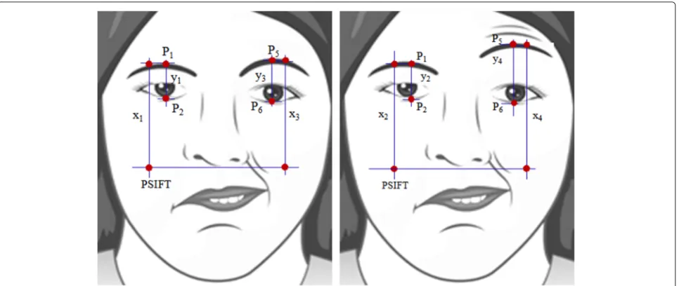 Fig. 11 Symmetry measurement based on one of the common points (PSIFT) generated by Scale-invariant feature transform (SIFT)